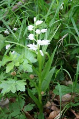 Killikus&reg; Fotographie